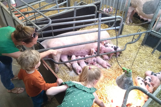 Natuurcentrum Arnhem - Boerenluchtjes